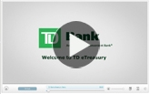 Discover TD eTreasury Online cash management solution